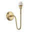 Jelisha Steel Armed Sconce