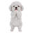 Dog-Poodle Puppy Playing