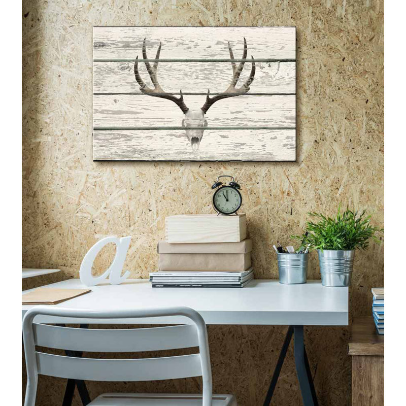 Moody Skull, tête de cerf avec bois de cerf, œuvre d'art rustique, H 12 po x l 18 po