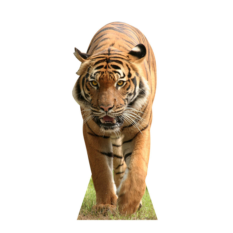 Tiger Cardboard Standup