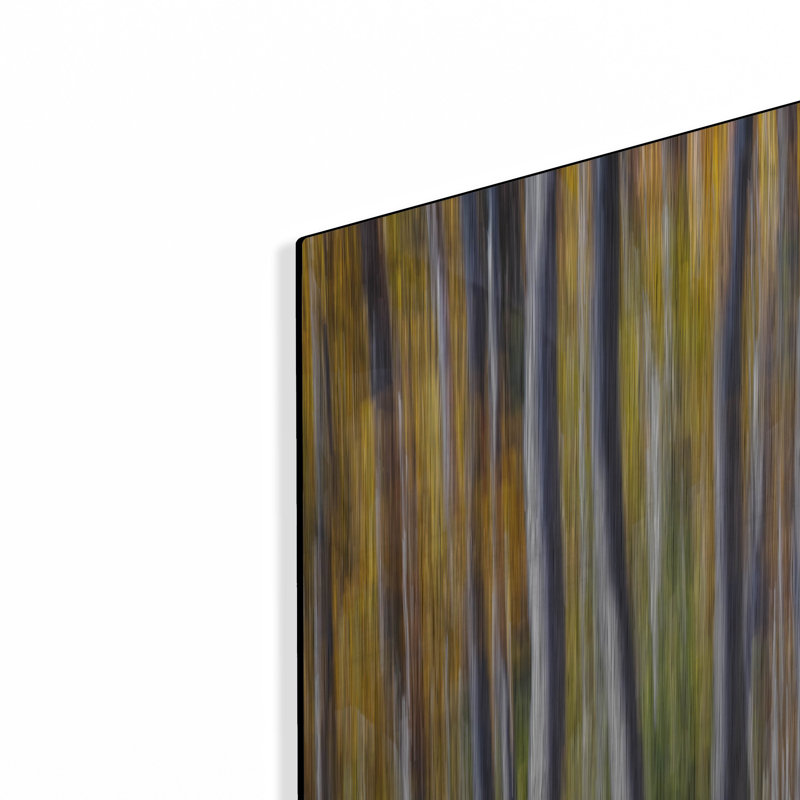 «Autumn Birches Abstract» par Rick Berk, H 24 po x l 36 po