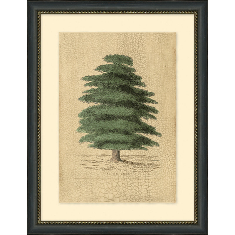 Algum Tree Print
