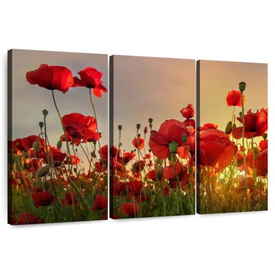 Harnek Backlit Poppies