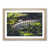 Oak Framed selected