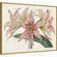 «Amaryllis Varietals I» par Bette Ridgeway, reproduction d'art sur toile encadrée-251686292
