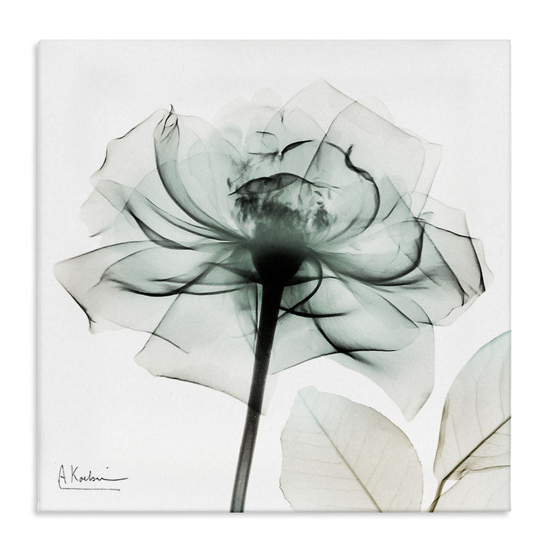 Toile de fleur transparente, design par Albert Koetsier, H 30 po x l 30 po