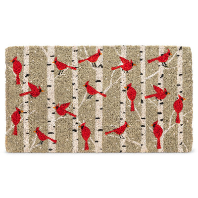 Tapis d'extérieur 18 x 30 Johnnette