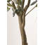 210cm Faux Tree in Cement Pot