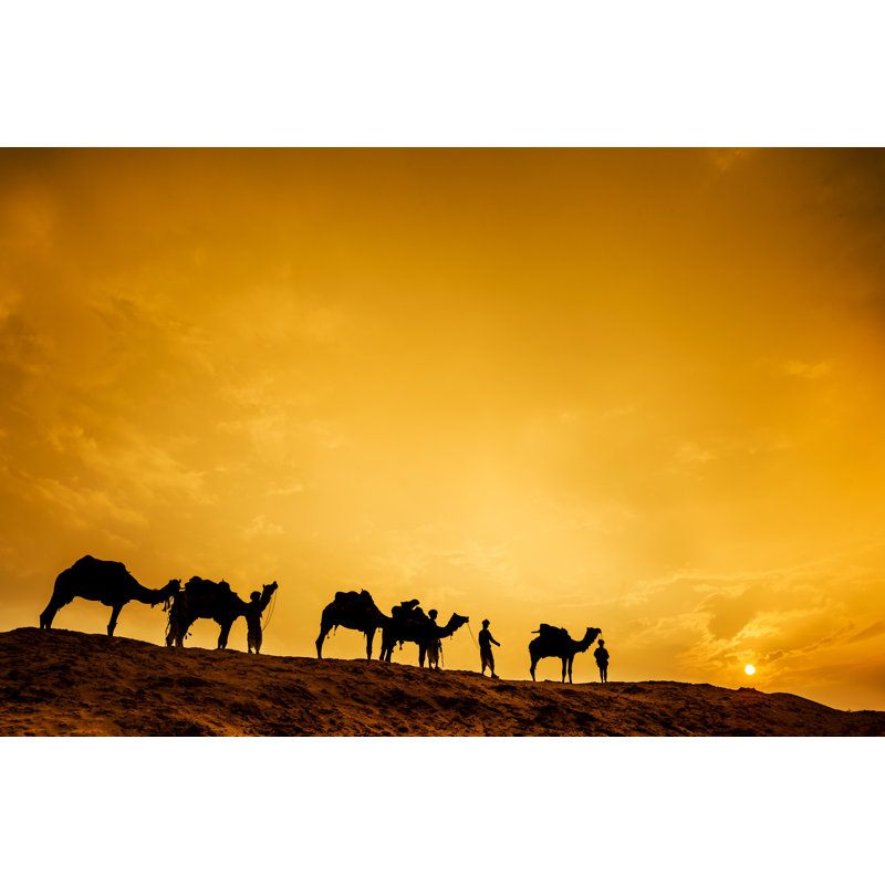 Camel Caravan - Wrapped Canvas Print, 20cm H x 30cm W x 3.8cm D