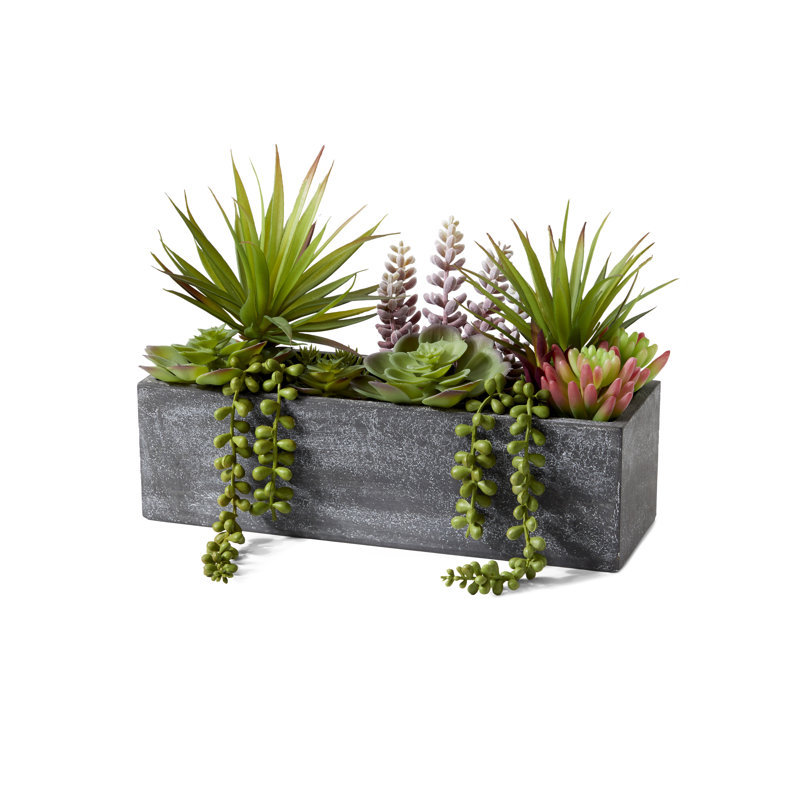 9'' Succulent Plant in Stone Planter