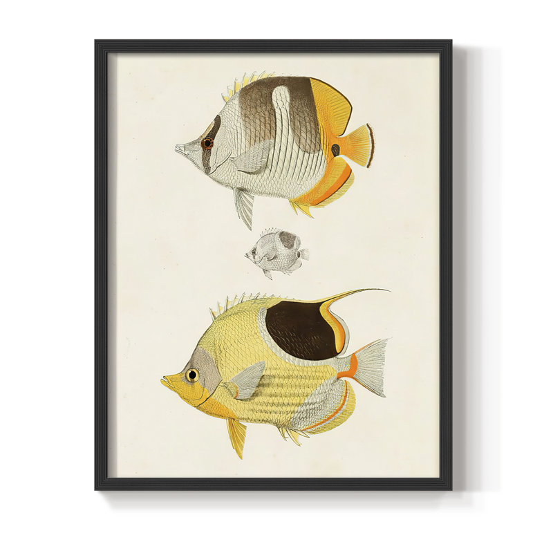 «Yellow & Gray Fish II», reproduction encadrée - bois massif, H 10 po x l 8 po, Noir