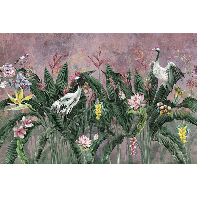 Papier peint paradis tropical, oiseaux exotiques et fleurs luxuriantes, L 54,96 po x l 81 po, Rose