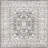 Oriental Indoor Rug-1708479676