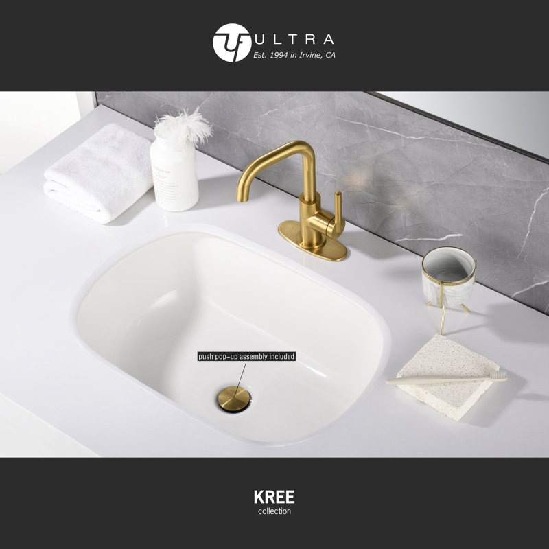Matte Black Single-Handle Bathroom Faucet with Drain Assembly
