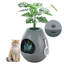 Litière cachée pour plante avec contrôle intelligent des odeurs et système de ventilation silencieux-1372982975