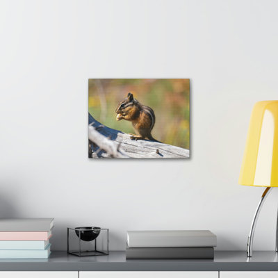 Chipmunk Hunting Chipmunk on Hunt Print Animal Wall Art