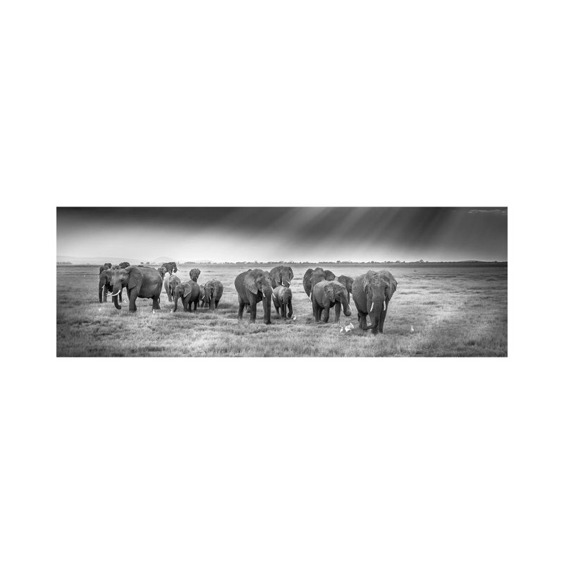 Breakfast With Pachyderms by Jeffrey C. Sink - Wrapped Canvas Panoramic Print