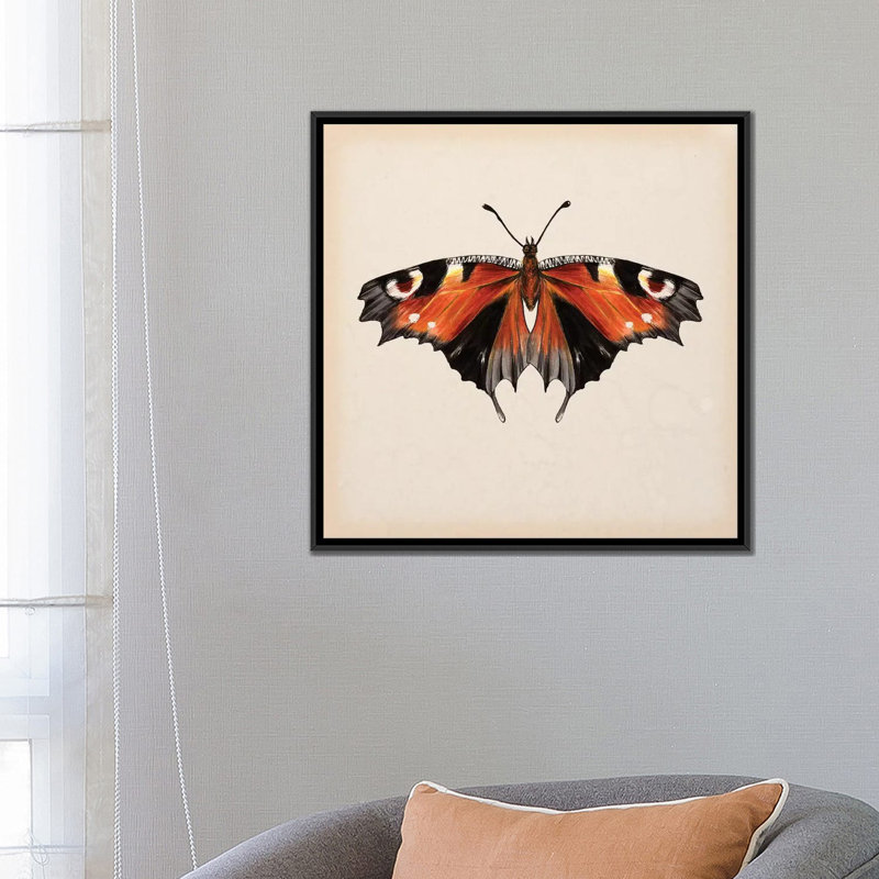 «Butterfly Study V», impression sur toile, H 18 po x l 18 po x P 1,5 po, Toile encadrée noire, Pas de tapis
