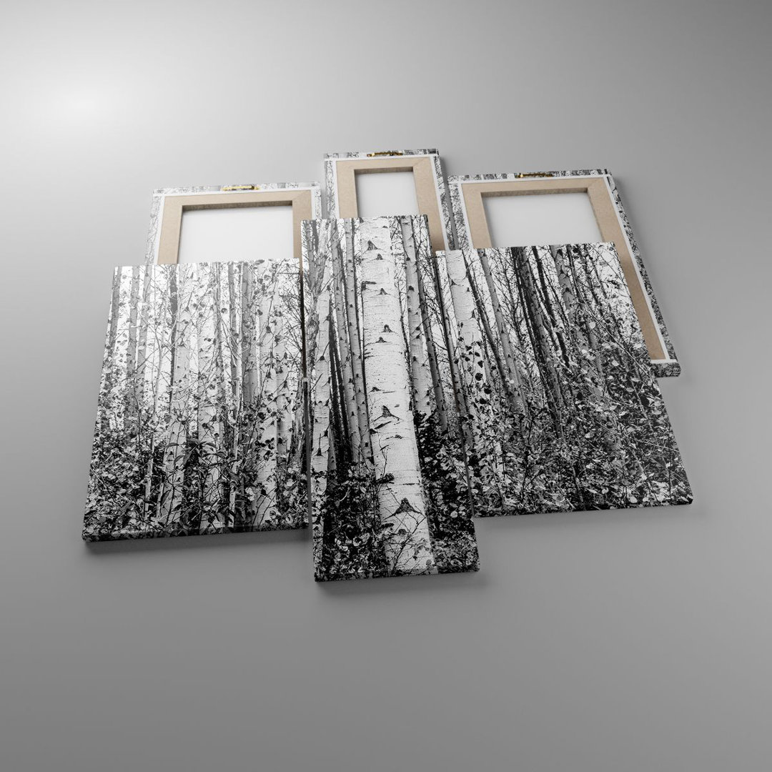 3-tlg. Leinwandbilder-Set Birch Trees Forest Monochrome