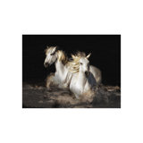 Camarague Horses Print by Bobbie Goodrich