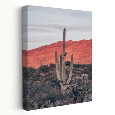 Couchers de soleil et Saguaros I - Art de désert cactus brun