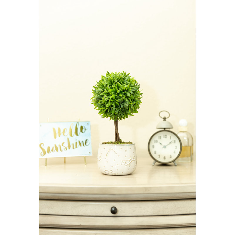 10'' Faux Boxwood Plant in Pot