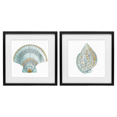 Regal Clam Shell Duo 2pc Framed Print Under Glass Set, design by Lorenzo Collective