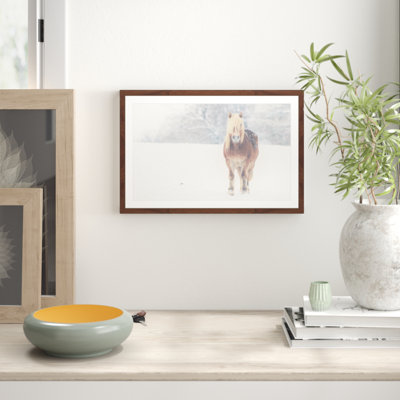 Parvez Taj - Single Picture Frame Print