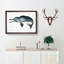 River Dolphin by John Edward Gray - Picture Frame Painting Print-55598277-55598279