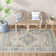 Neve Oriental Area Rug
