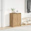 Shoe Cabinet 57X34x76 Cm Engineered Wood-208761450