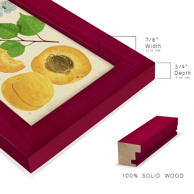 Apricot Study II " Apricot Study II ", Red, 6" H x 4" W x 1" D