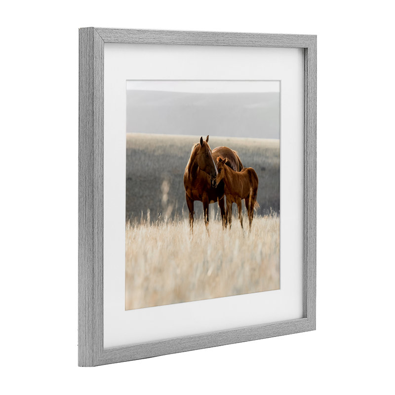 «Montana Mares Landscape», reproduction encadrée sous verre, conception de Christy Berry, Cadre de ferme gris