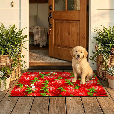  Tapis antidérapant pour porte d'extérieur, 20 po x 32 po, fraise fraîche