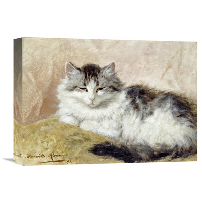 " A Cat " by Henriette Ronner-Knip