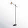 Flemings 63'' LED Task Floor Lamp