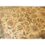 High-Quality Hand-Knotted Cream And Green Area Rug