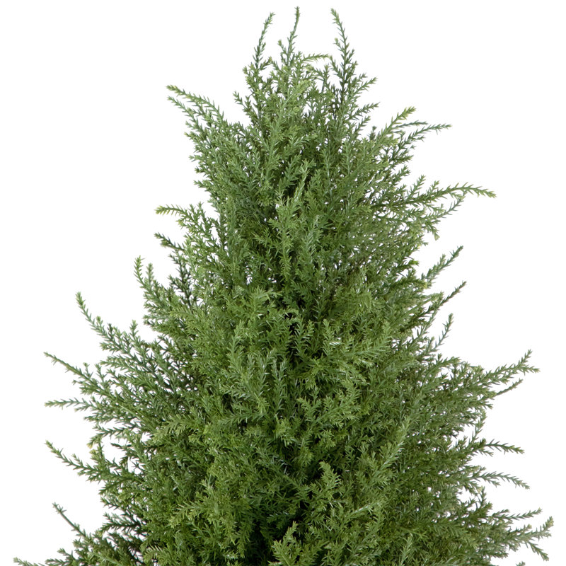 5'' Artificial Cedar Pine Arborvitae Tree In Urn Style Pot  Unlit