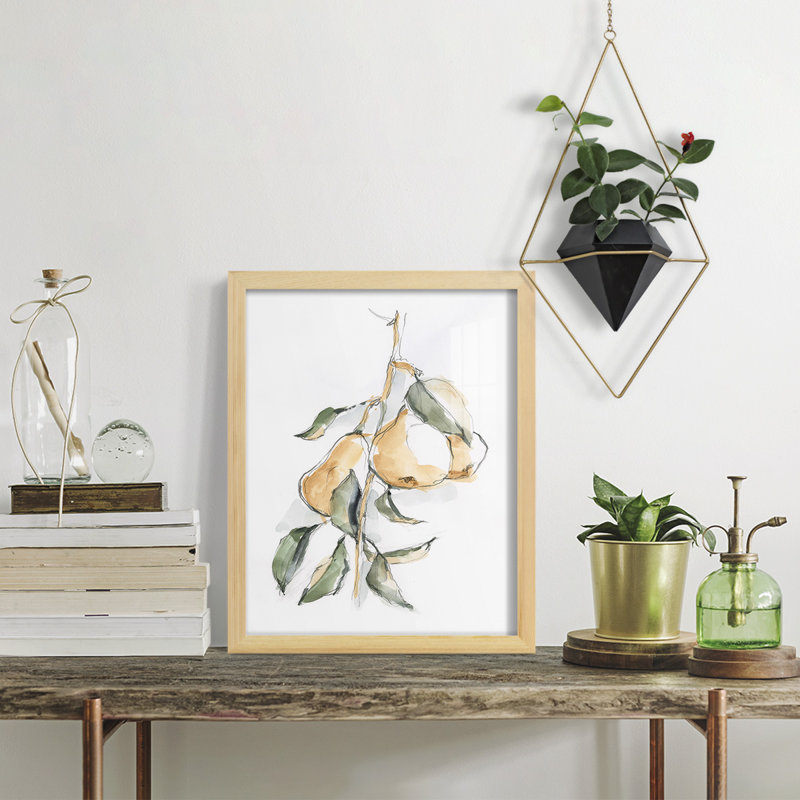 Watercolor Fruit Contour I - reproduction d'art sur toile, H 15 po x l 12 po x P 1 po, Papier encadré naturel