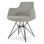 Dervish 18.5'' H Wool Upholstered Metal Armchair