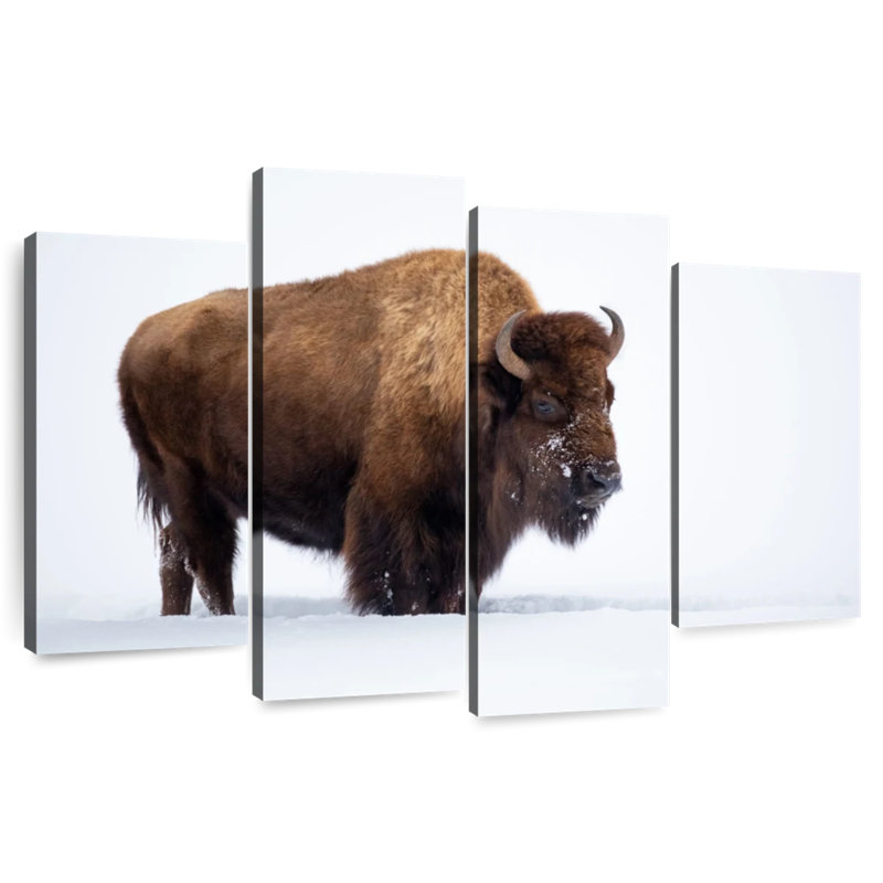 Bison Brampt