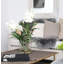 Vanda Orchids And Driftwood Inside Glass Cylinder