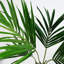 Faux Palm Plant in Pot Liner-88980144
