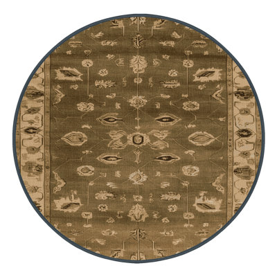 Machine Washable Overdyed Brown Area Rug