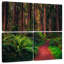 Alvord Redwood Forest Trail-109118806