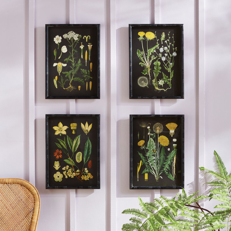 Pinar Golden Botanical Study - ensemble de 4 impressions encadrées