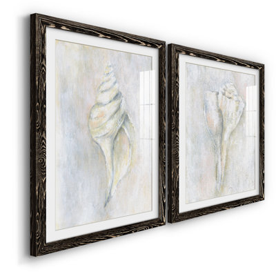 " Soft Shell I " 2 - Pieces