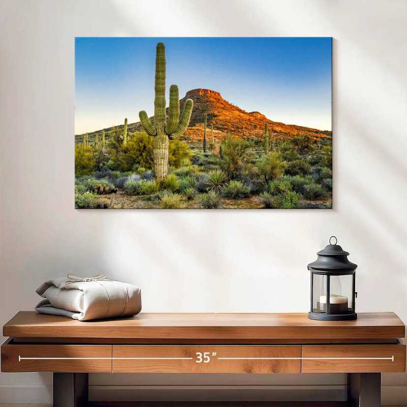 Désert de Sonoran, H 16 po x l 24 po