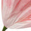 Fleurs artificielles géantes avec tiges et base-818968855