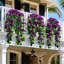 2 fleurs artificielles suspendues Bougainvillea, vigne en tissu de soie artificielle résistante aux rayons UV-197907268